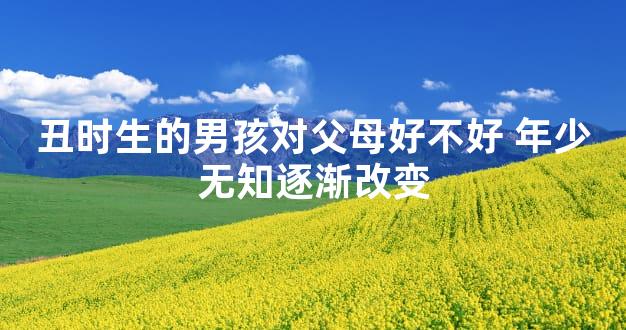 丑时生的男孩对父母好不好 年少无知逐渐改变